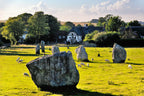 The Cotswolds and Stonehenge tour from Bath