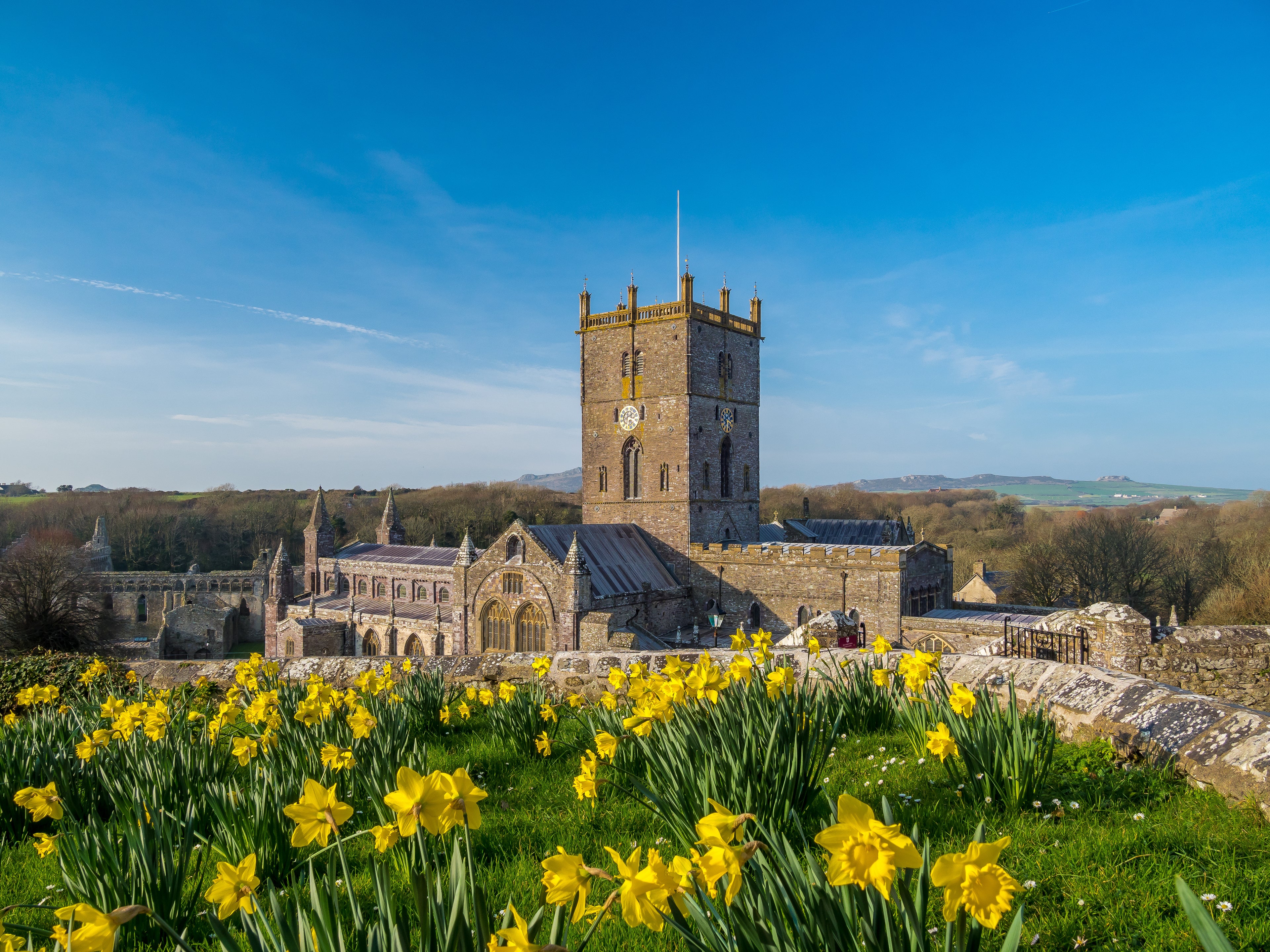 Historic cathedral with a clock tower surrounded by yellow flowers under a clear blue sky.